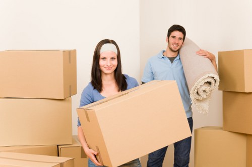 Choosing the right removal van for a move in Heidelberg